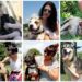 Drap and Association Indigo launch campaign for animal adoption on Tinder! 1