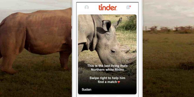 The World’s Most Eligible Bachelor on Tinder Is Literally the Last of His Kind 1