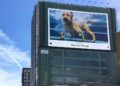 Apple Celebrates Summer With Joyful Worldwide ‘Shot on iPhone’ Out-of-Home Campaign 6