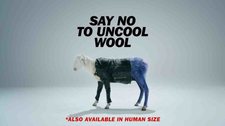 This fly sheep in Diesel's clothing is campaigning against Uncool Wool