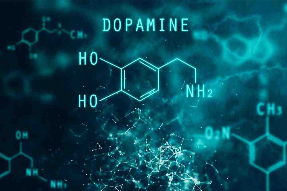 Dopamine - a marketing miracle ingredient
