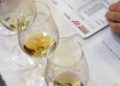 Dubrovnik FestiWine – gala tjedan za one koji žele kušati najbolja vina i znati sve o vinima 9