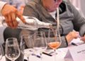 Najbolja vina Dubrovnik FestiWine-a bira međunarodni ocjenjivački sud 2