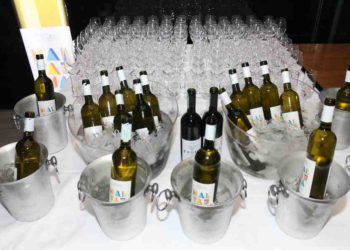 24 Hours: 13. Jul Plantaže winery marks 55th anniversary; Exhibition by Žare Kerin in Sarajevo; M2Communications in the finals of Bea World Festival; Facebook's new head of comms... 3