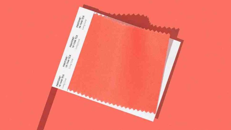 Creatives don’t forget, Pantone Color of the Year is Living Coral 1