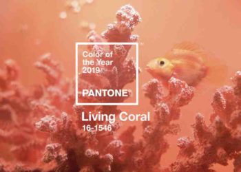 Kreativci ne zaboravite, Pantone boja 2019. je boja “živog korala” 4