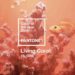 Creatives don’t forget, Pantone Color of the Year is Living Coral