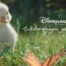 BETC makes a new fairy tale with a little duckling for Disneyland Paris