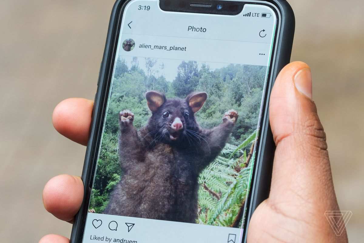 Šta je sve potrebno za uspešnu Instagram stranicu?