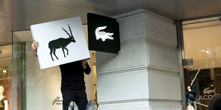 aktivering uddannelse Løft dig op Lacoste removes its logo from stores in new installation of Save Our Species  campaign | Media Marketing